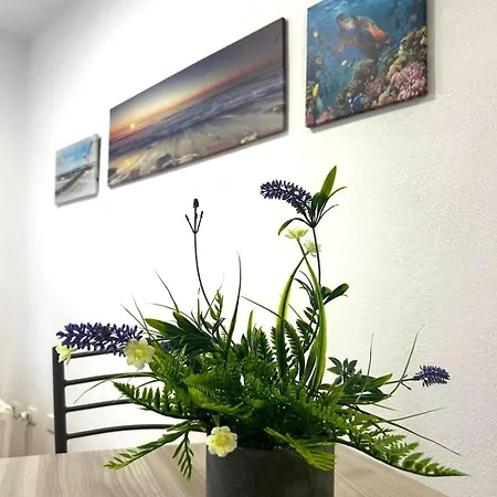 Apartmán Il Tulipano