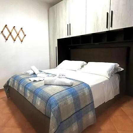 Il Tulipano *