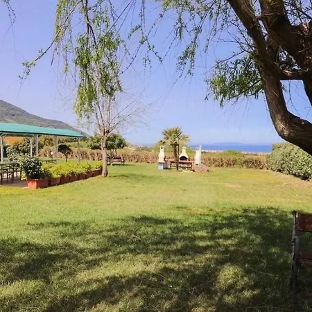 Apartament Il Tulipano *