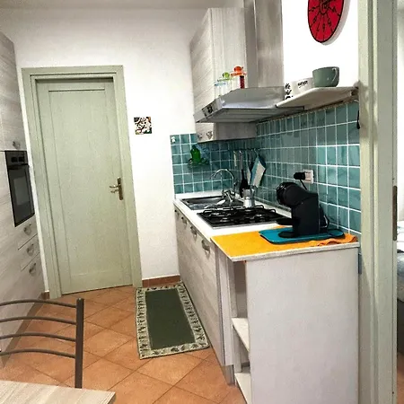 Il Tulipano *